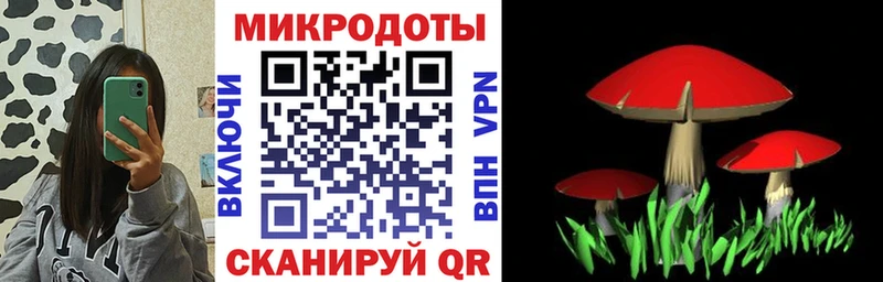 Псилоцибиновые грибы мицелий  Купить  Бердск 